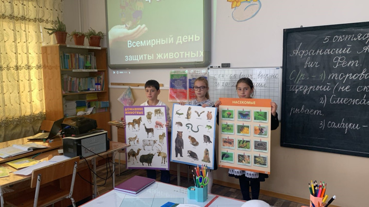 Всемирный день защиты животных.